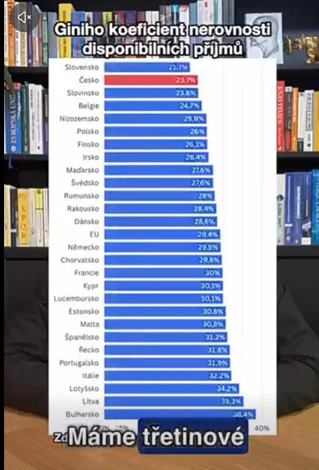 Jak velká je příjmová nerovnost v Česku?